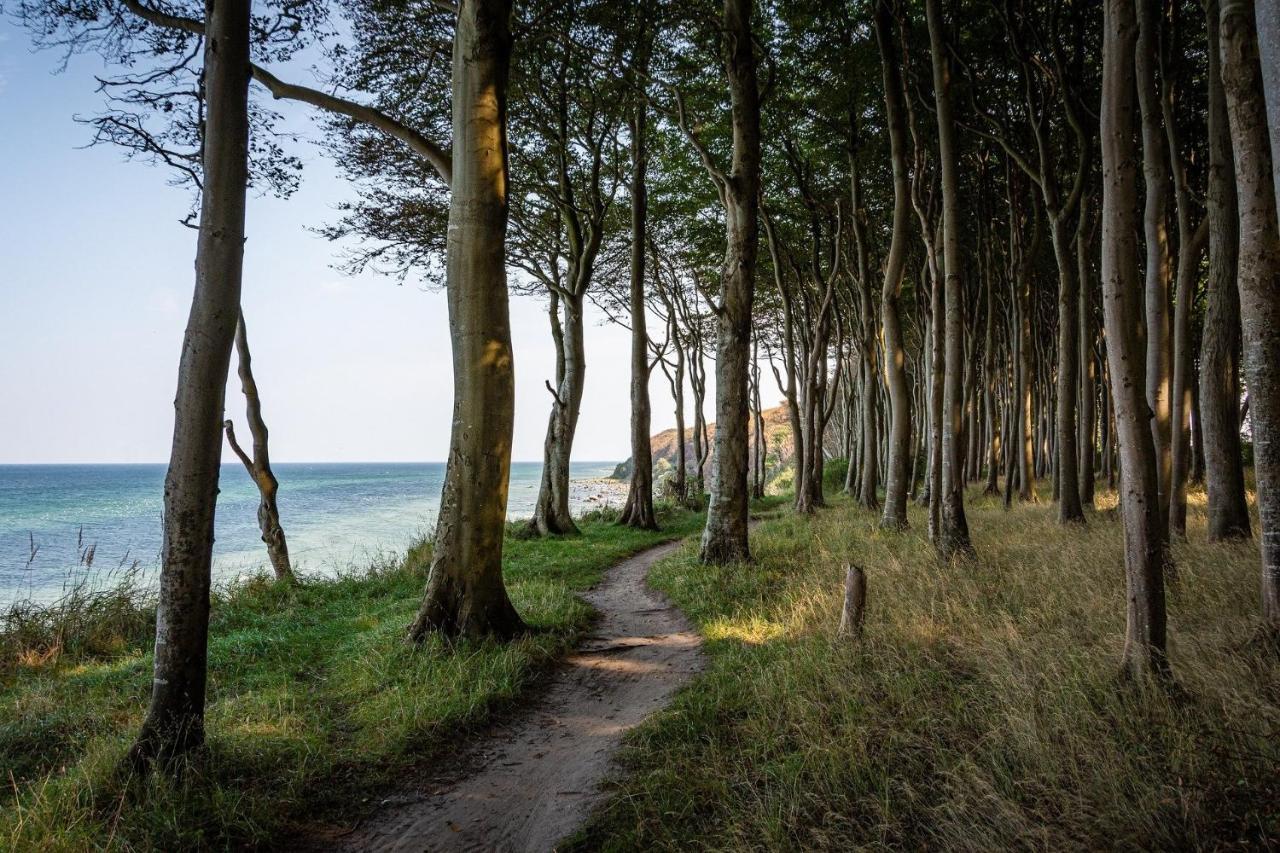 Ferienhaeuschen Kuestenwald Bei Warnemuende, Eigener Garten, Terrasse Mit Strandkorb, 400M Zum Strand Дидрихсхаген Экстерьер фото